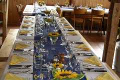 sonnenblumen